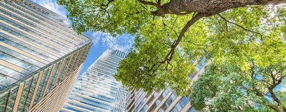 A view of tall buildings and trees from below