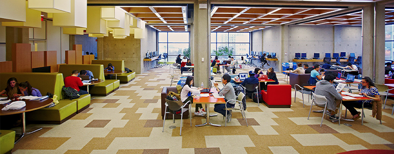 Students studying in the Scott Library Common.