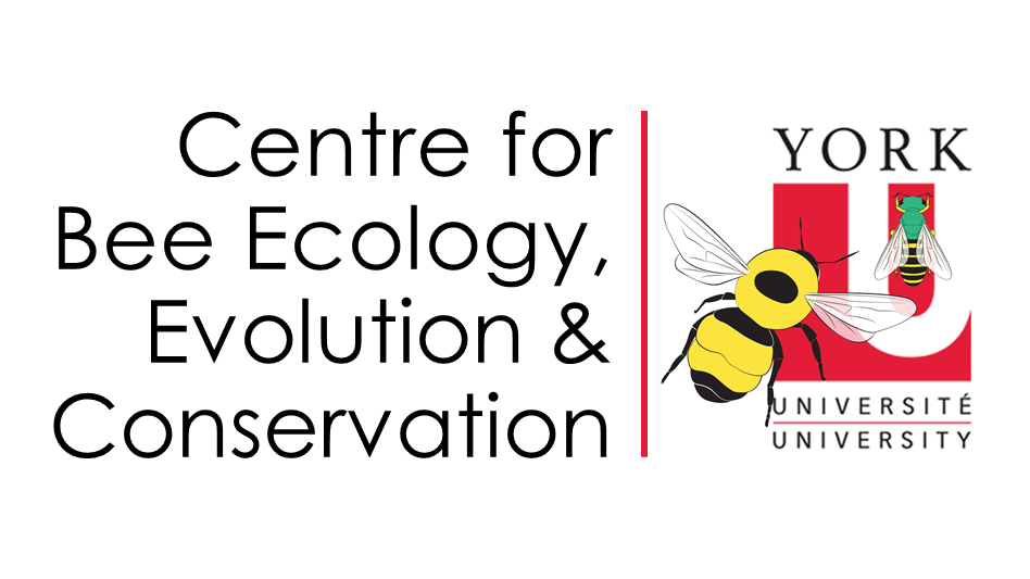 Centre for Bee Ecology, Evolution and Conservation